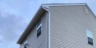 Best Siding Painting and Refinishing  in Milford, IA